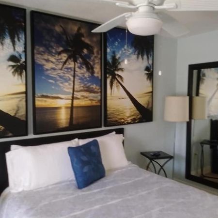 Tampa Bay Beautiful Apartment And Private Jacuzzi エクステリア 写真