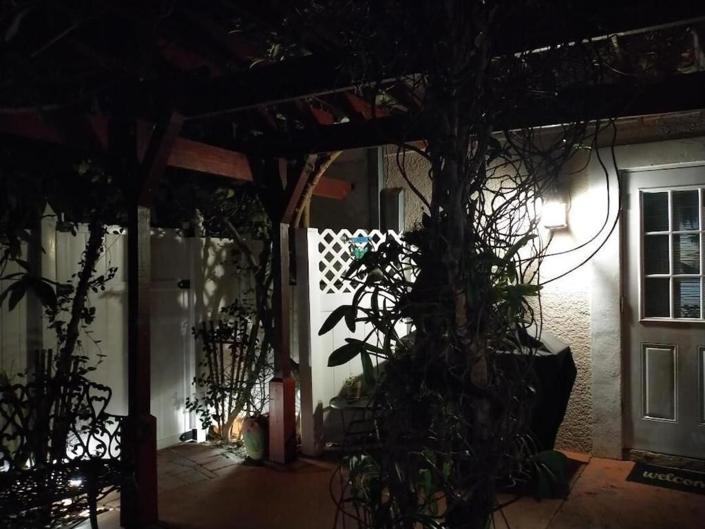 Tampa Bay Beautiful Apartment And Private Jacuzzi エクステリア 写真