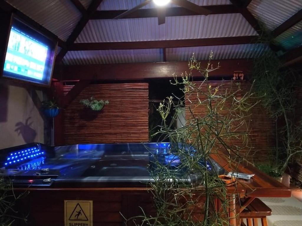 Tampa Bay Beautiful Apartment And Private Jacuzzi エクステリア 写真