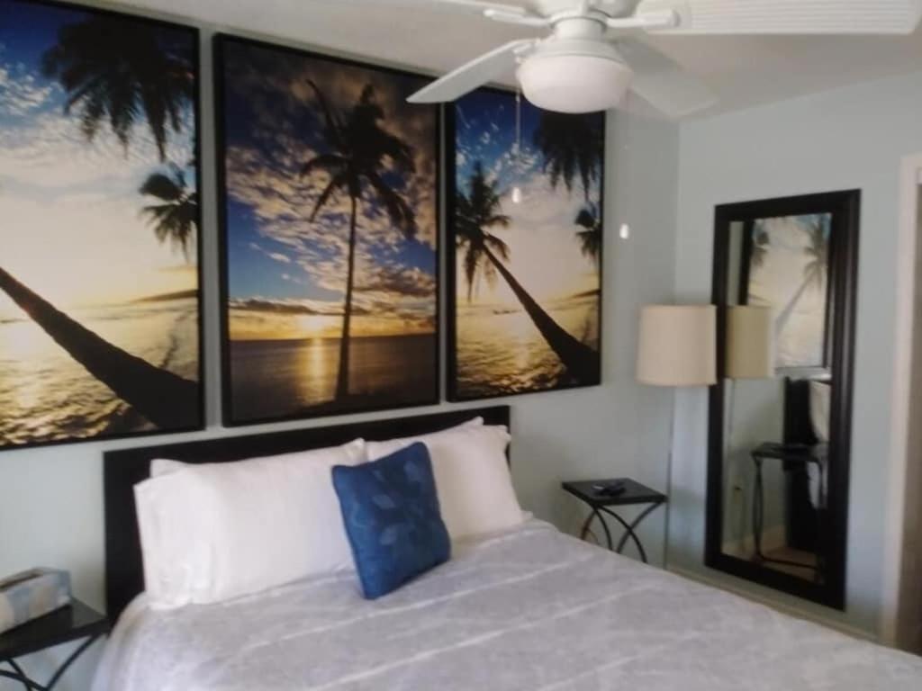 Tampa Bay Beautiful Apartment And Private Jacuzzi エクステリア 写真