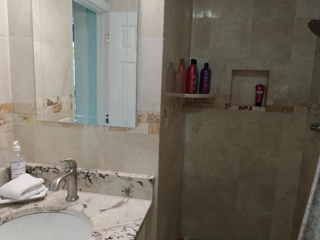 Tampa Bay Beautiful Apartment And Private Jacuzzi エクステリア 写真