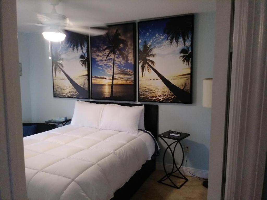 Tampa Bay Beautiful Apartment And Private Jacuzzi エクステリア 写真