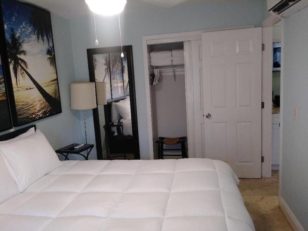 Tampa Bay Beautiful Apartment And Private Jacuzzi エクステリア 写真